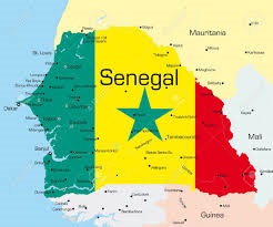 Welke bedrijven willen deelnemen aan PIB voor Senegal? (1)