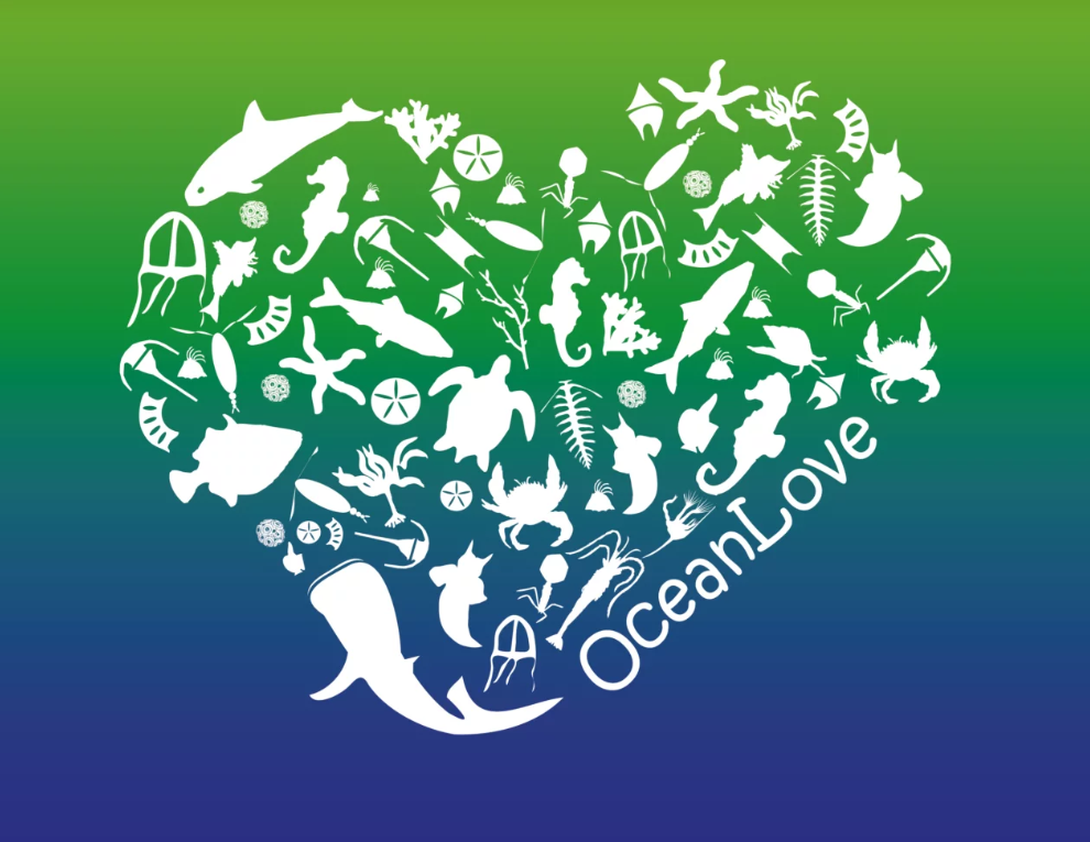 Nieuw Nederlands initiatief OceanLove Innovation Award omarmd door Verenigde Naties